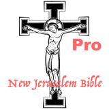 NJB Audio Bible Pro