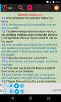 Santa Biblia Español Ingles Plakat