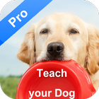 Teach Your Dog icône