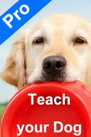 Teach Your Dog پوسٹر