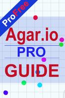 Pro Guide Agar.io โปสเตอร์