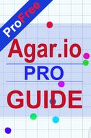 Pro Guide Agar.io Affiche