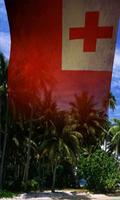 Flags of Oceania 3D Free Affiche