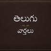 Telugu News icon