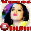 Bhojpuri Video Song HD भोजपुरी वीडियो