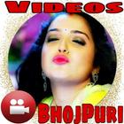 Bhojpuri Video Song HD भोजपुरी वीडियो आइकन