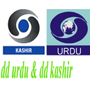 DD URDU & DD KASHIR LIVE TV APK