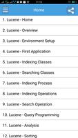 Learn Lucene Full 海報