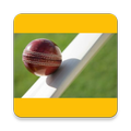 World Cup 2015