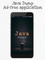 Java Dump plakat