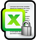 Excel Lock 图标