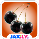 Wild Cherry Slots APK