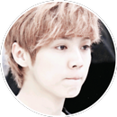 APK Character Exo ShortCut