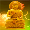 Buddhas Live Wallpaper