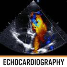 Echocardiography icône