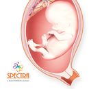 Mini Atlas Obstetrics APK