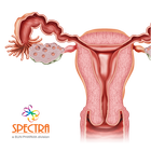 Mini Atlas Gynaecology иконка