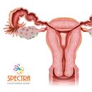 Mini Atlas Gynaecology APK