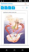 Mini Atlas Gynaecology скриншот 2