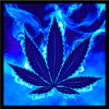 Blue Weed Rasta Keyboard icône