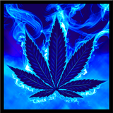 Blue Weed Rasta Keyboard Zeichen