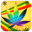 Cool Rasta Keyboard