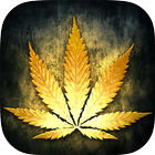 Gold Rasta Keyboard Zeichen
