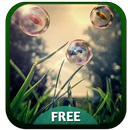 APK Bolle GO Keyboard