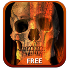 Fire Skull Theme icon