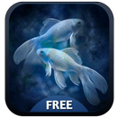 Balık Burç APK