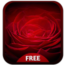 APK Red Rose Keyboard