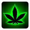 Rasta Green Neon Keyboard