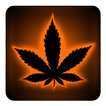 Rasta Orange Neon Keyboard
