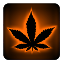 Rasta Orange Neon Keyboard APK