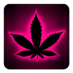 Rasta teclado rosa neón