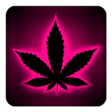 Rasta teclado rosa neón icono