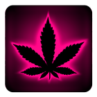 Rasta Pink Neon Keyboard icon