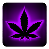 Neón teclado rasta púrpura icono