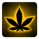 Rasta Yellow Neon Keyboard APK