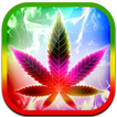 Smoke Rasta Keyboard
