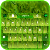 Green Nature Keyboard icône