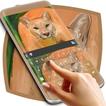 Mountain Lion Keyboard