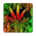 Rasta Fire Keyboard