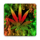 Rasta Fire Keyboard APK