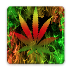 Rasta Fire Keyboard biểu tượng
