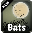 Bats Keyboard Zeichen