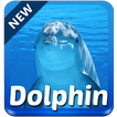 Dolphin clavier