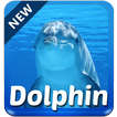 Dolphin Keyboard