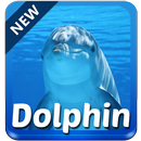 Dolphin clavier APK