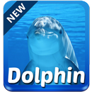 Dolphin Keyboard APK